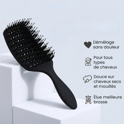 Brosse démêlante